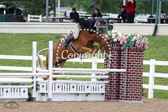 Golden_Ticket_(542)_20230616_5167