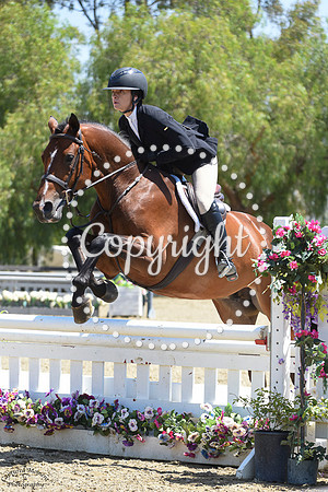 First_Look_(1878)_20230603_1936