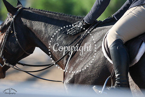 Zen_(834)_20230624_2113