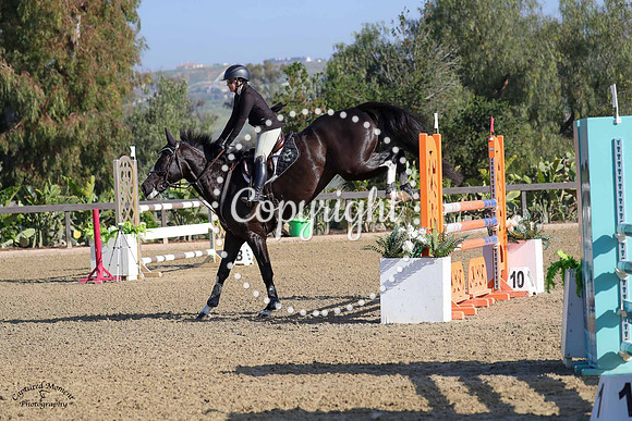 Cian_(1261)_20230426_7889
