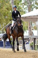 Willow_(227)_20230601_1693