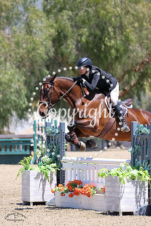 Arroway_(1036)_20230428_3862