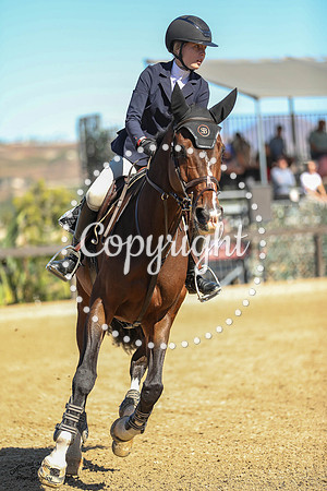 Casilia_(1127)_20241013_3991