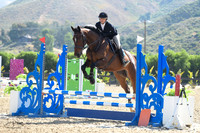 Louie_(2189)_20230608_0796