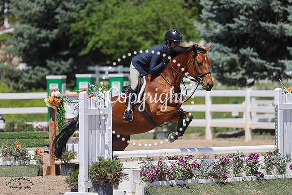 Memphis_Blues_(891)_20230621_0640