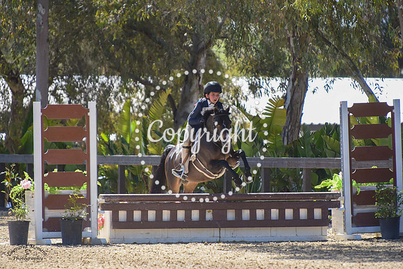 Celebration_(217)_20230421_5009