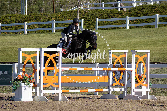 Hhs_Dover_(434)_20250517_0848
