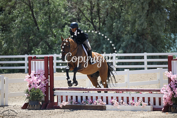 Baseline_(765)_20230624_1967