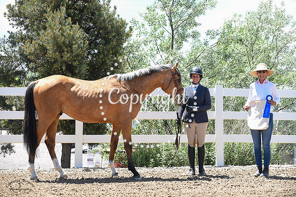 Candescent_(335)_20230622_2176