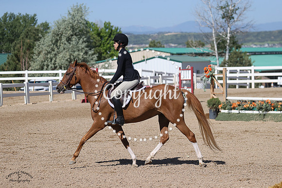 Grey_Hill_Evianna_(473)_20230621_0341