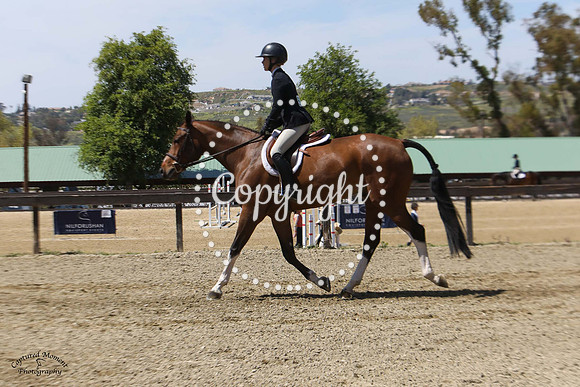 Zuperman_Mt_(183)_20230421_8244