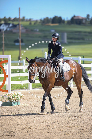 Calico_Bay_B_Z_(800)_20230623_0965