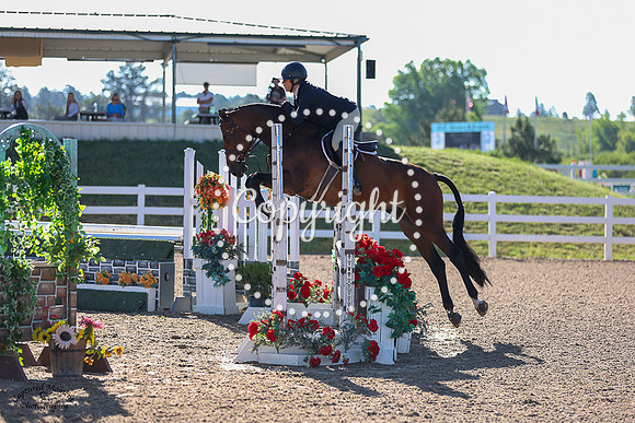 Quinn_42_(433)_20230714_4563