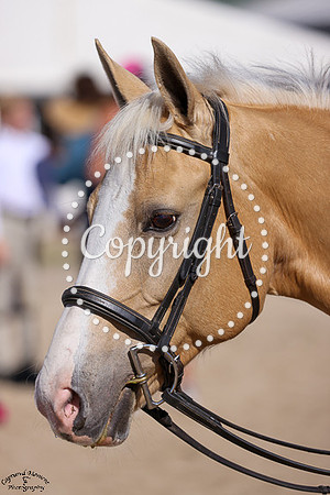Peaches_(664)_20230713_2942