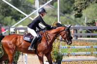 Norton_De_Landetta_Z_(946)_20250723_8469