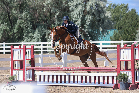 Elizabrentina_(936)_20230705_3043