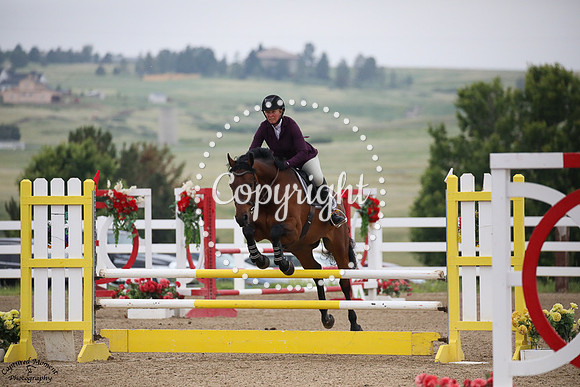 Grey_Goose_(851)_20230707_4702