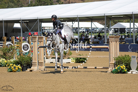 Diamond_(684)_20250719_7443