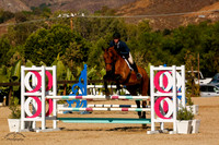 Koddac_Van_Het_Indihof_(594)_20241011_6576