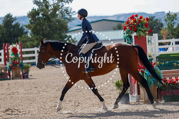 Limited_Edition_(1332)_20240913_5463