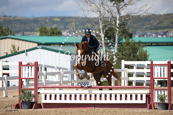 Elizabrentina_(936)_20230705_3042