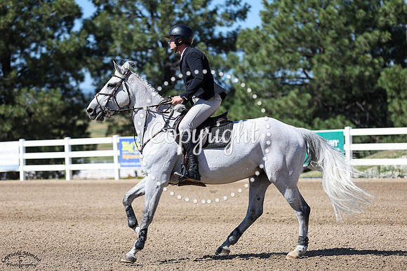 Harvest_De_Vie_(1882)_20250702_0295