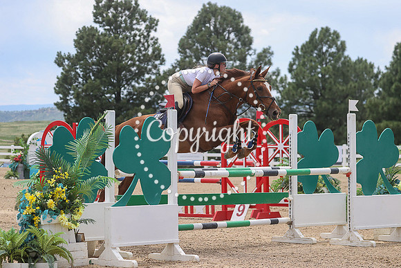 Stallion_Flor_Real_(441)_20230713_1647