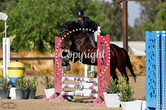 Kai_(206)_20241018_0260