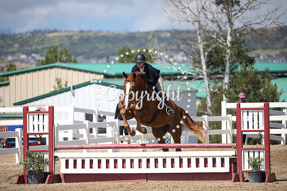 Elizabrentina_(936)_20230705_3064