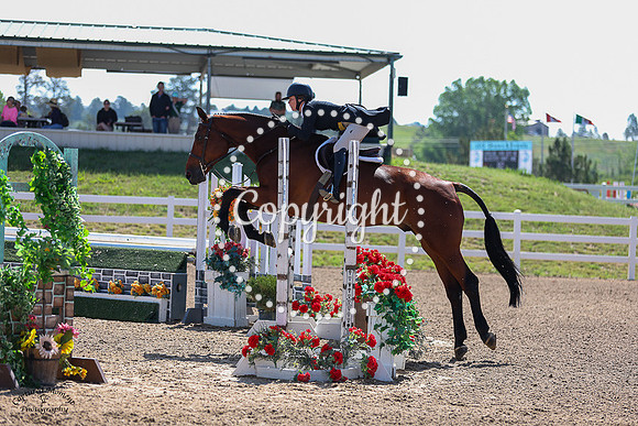 Bayview_(650)_20230714_4978
