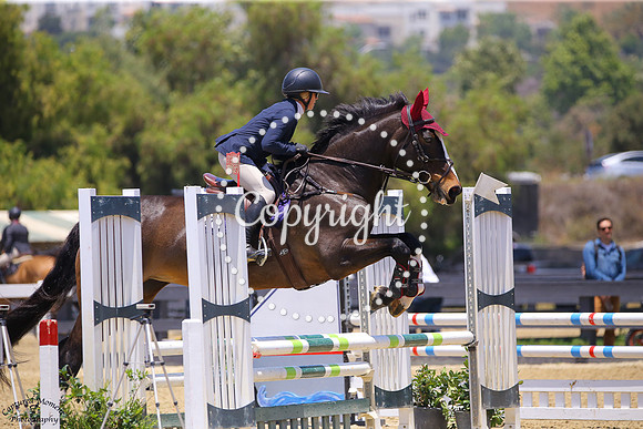 Parvati_(1279)_20250625_0208