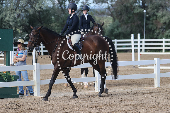 Patent_Pending_(964)_20230712_0178