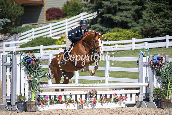 Elizabrentina_(936)_20230705_3081