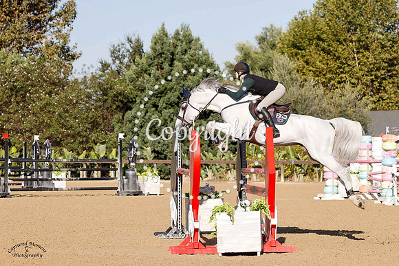 Chacoonito_Ps_(236)_20241002_0314