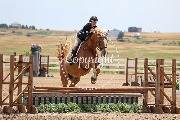 Gold_Standard_Z_(709)_20250717_0171