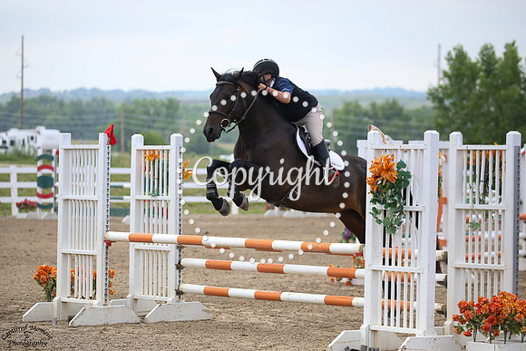 Guinness_(694)_20230707_4778