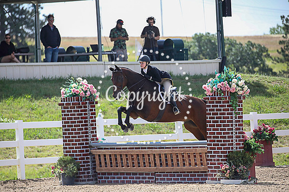Elveron_(491)_20230714_1379