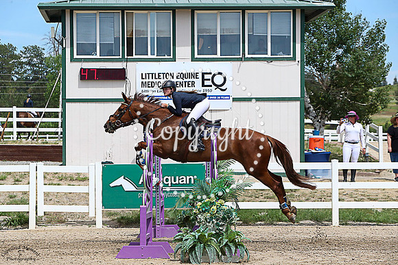 Stallion_Flor_Real_(441)_20230716_0574