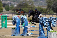 Petit_Noir_(677)_20250423_1828