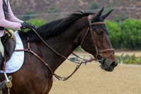 Dinard_Du_Maillet_(1626)_20241017_0421