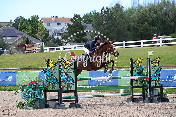 Stallion_Flor_Real_(441)_20230716_0578