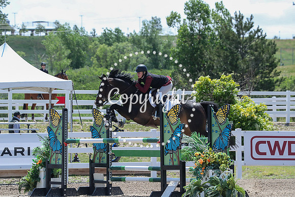 Lacana_Ps_(664)_20230705_5648