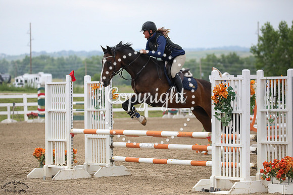 Quality_Db_(540)_20230707_4724