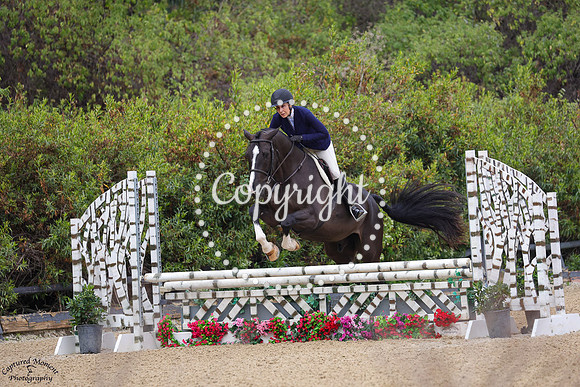 Tinus_Van_De_Laarse_Heide_Z_(1046)_20250627_0071