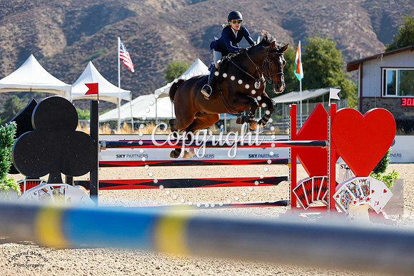 Callaloo_(659)_20241009_0197