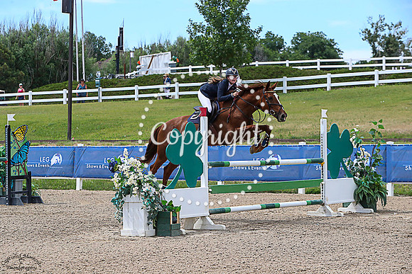Stallion_Flor_Real_(441)_20230716_0580