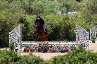 Sws_Valentino_(1430)_20250626_1374