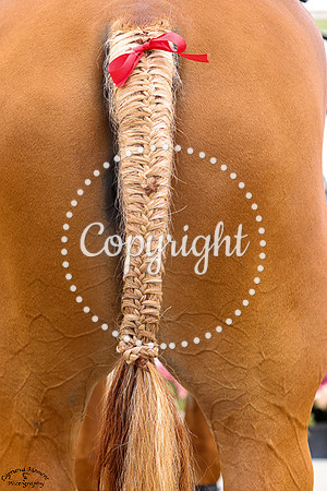 Elizabrentina_(936)_20230707_4413