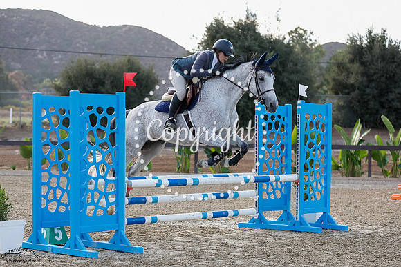 Noelani_(475)_20241003_0239