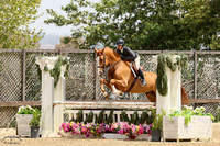 Halouet_(776)_20250528_0844